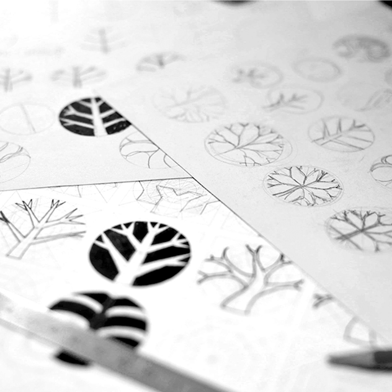 Brand Marks